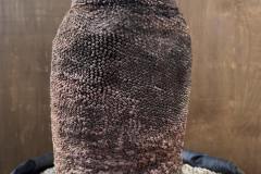 S__45187184_0-min