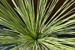 S__45187185_0-min