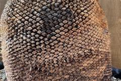 S__45203594_0-min