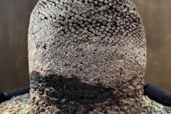 S__45187177_0-min