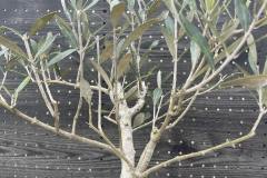 IMG_5882-min