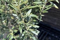 IMG_6658-min