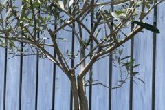 IMG_9785-min