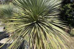 IMG_8288-min