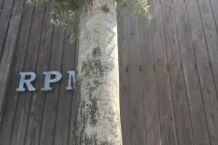 IMG_9128-min