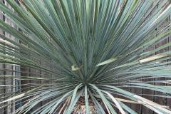 IMG_3744-min
